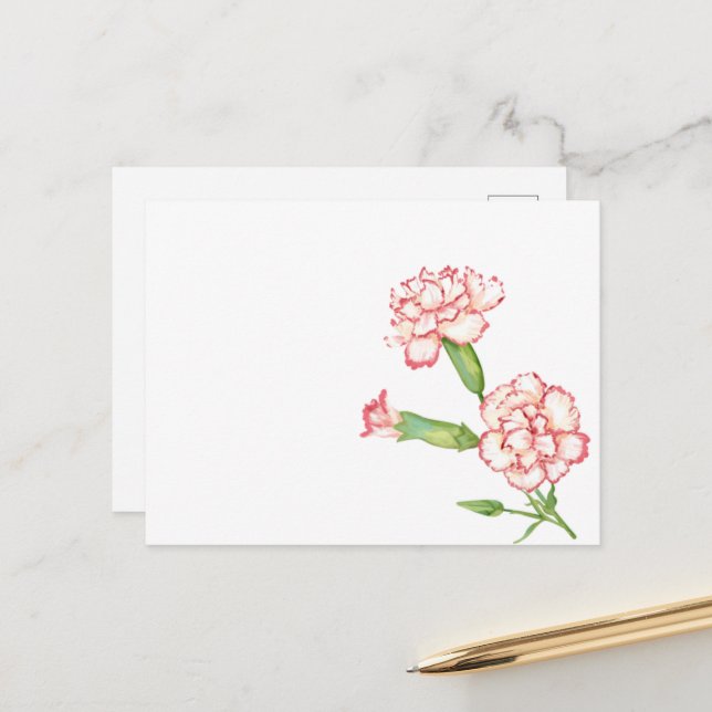 Carnation postcard (Front/Back In Situ)