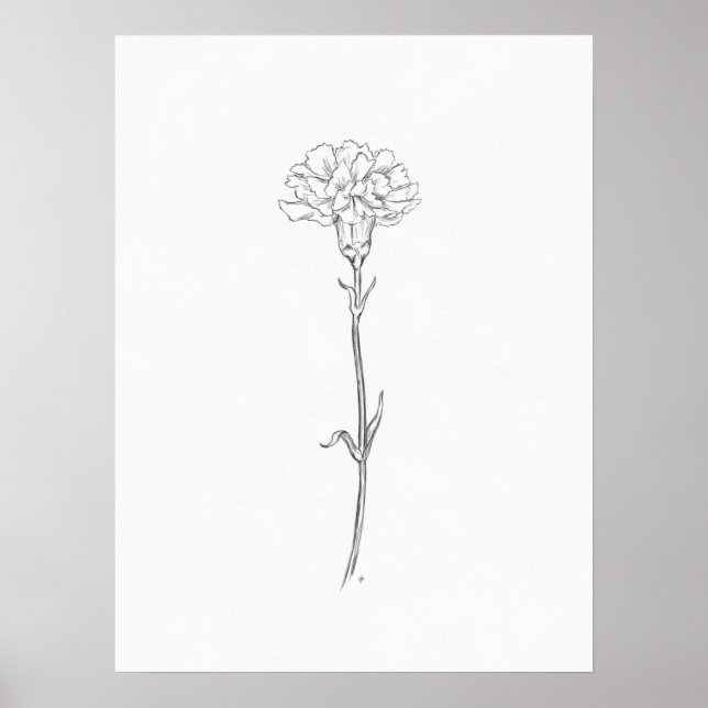 Carnation Sketch Print (Front)