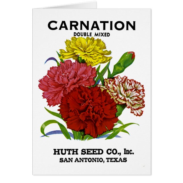 Carnation Vintage Seed Packet (Front)