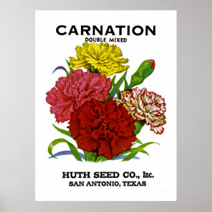 Carnation Vintage Seed Packet Poster