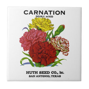 Carnation Vintage Seed Packet Tile