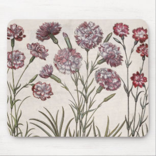 Carnations: 1.Caryophyllus flore majore; 2. Caryop Mouse Pad