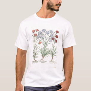 Carnations: 1.Caryophyllus multiplex flore albo; 2 T-Shirt