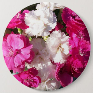 Carnations Button or Badge