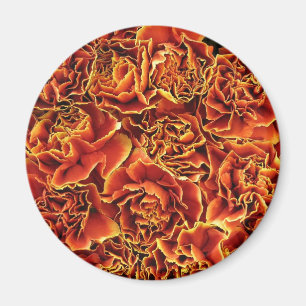 Carnations Magnet