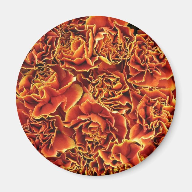 Carnations Magnet (Front)