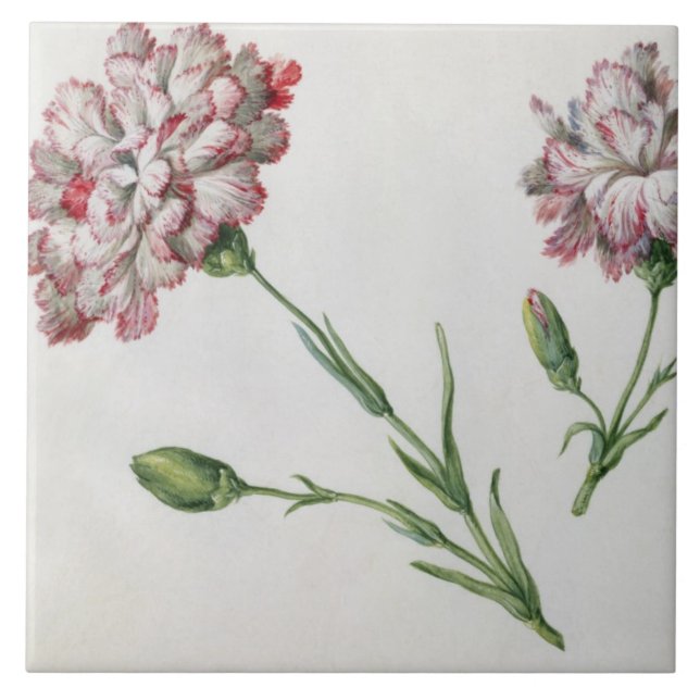 Carnations (w/c on paper) ceramic tile (Front)