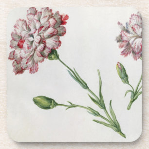 Carnations (w/c on paper) coaster