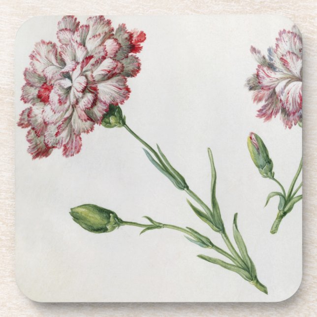 Carnations (w/c on paper) coaster (Front)
