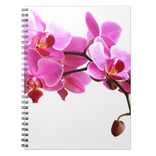 Carnet Orchidée Notebook