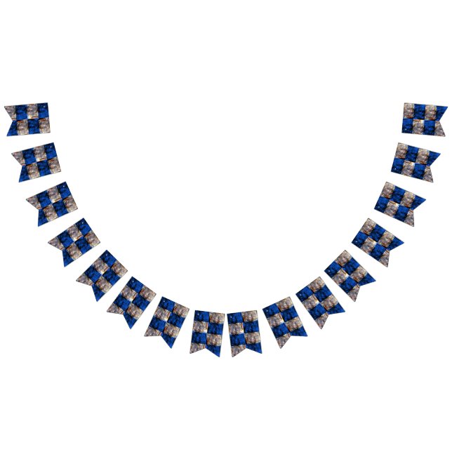 carnival chest bunting  (All)