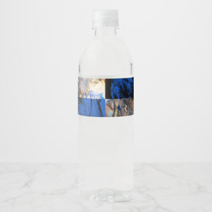 carnival chest water bottle label