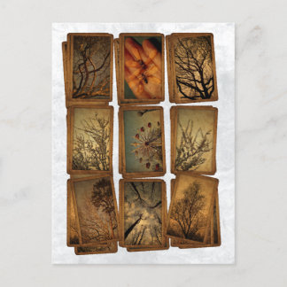 Carnival, Dragonflies, Trees Postcard