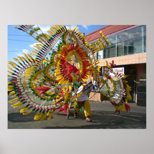 Carnival in Trinidad Poster (Front)