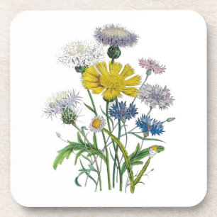 Carnival of flowers coaster