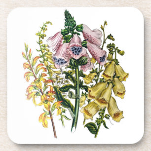 Carnival of flowers coaster