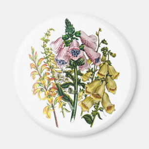 Carnival of flowers magnet