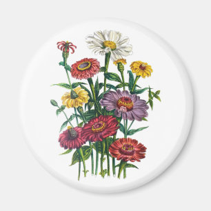 Carnival of flowers magnet