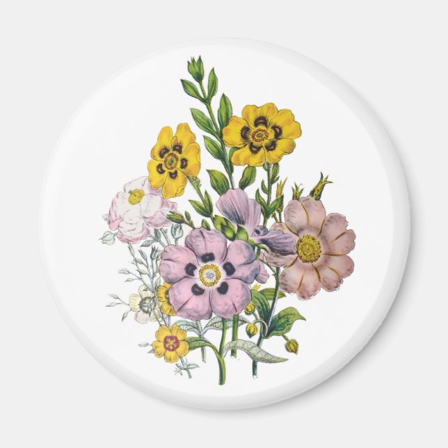 Carnival of flowers magnet (Front)