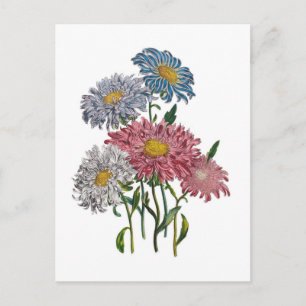 Carnival of flowers postcard