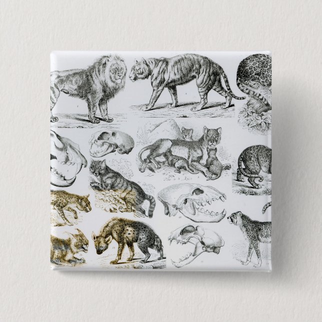 Carnivorous Animals 15 Cm Square Badge (Front)
