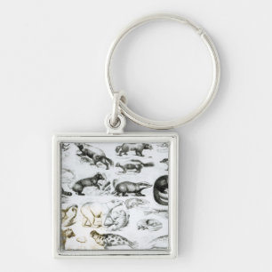 Carnivorous Animals Key Ring