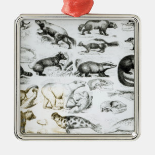 Carnivorous Animals Metal Ornament