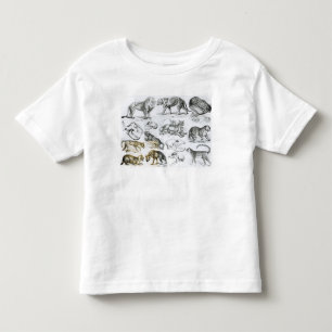 Carnivorous Animals Toddler T-Shirt