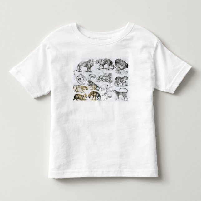 Carnivorous Animals Toddler T-Shirt (Front)
