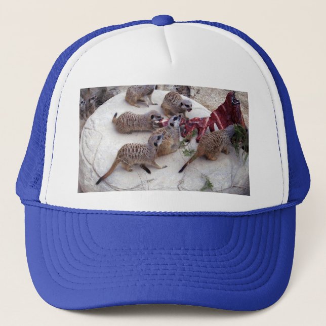 Carnivorous Meerkats Having Ribs For Tea, Trucker Hat (Front)