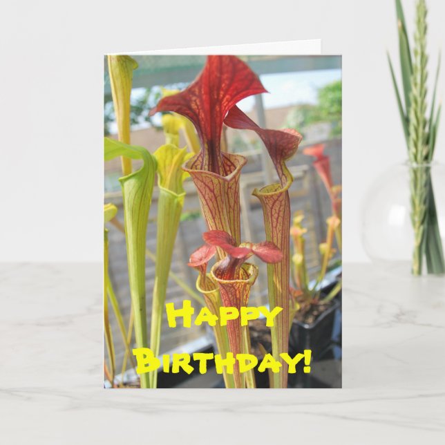Carnivorous Plant Birthday Card (Front)
