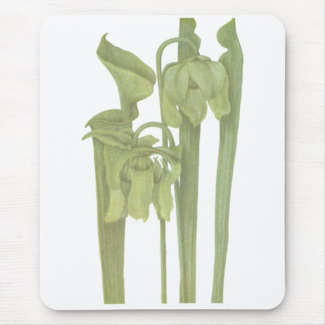 Carnivorous Plant - Sarracenia flava Mouse Pad (Front)