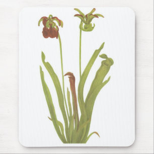 Carnivorous Plant - Sarracenia rubra Mouse Pad