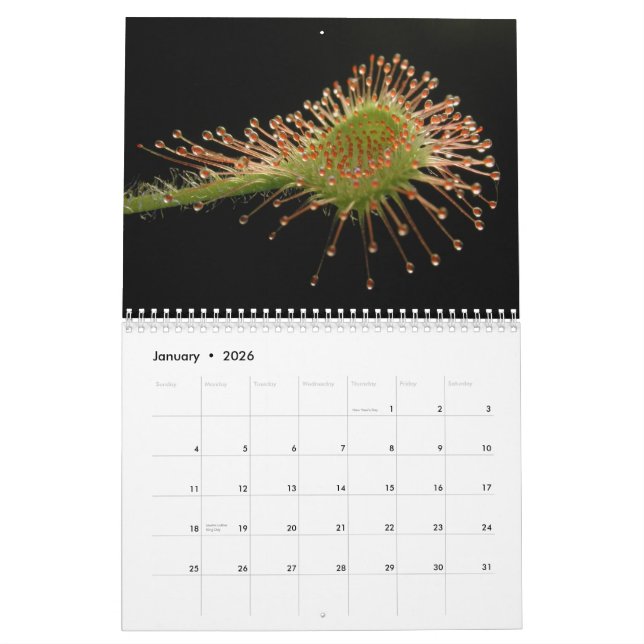 Carnivorous Plants Calendar (Jan 2026)