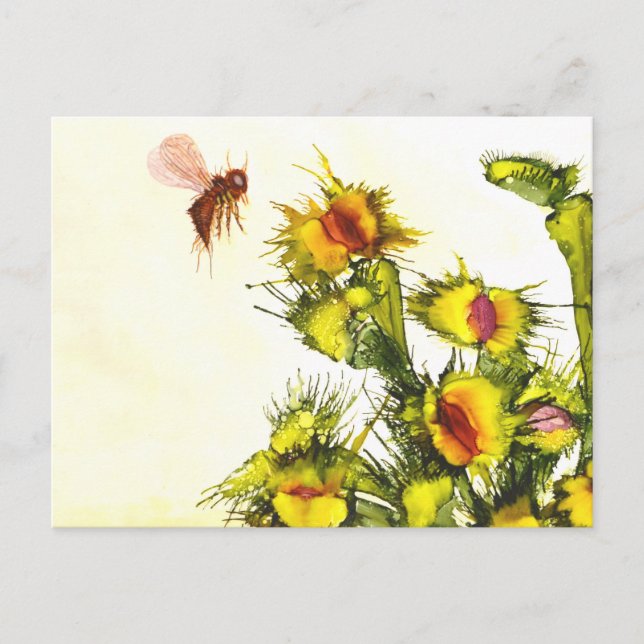 "Carnivorous" postcard (Front)