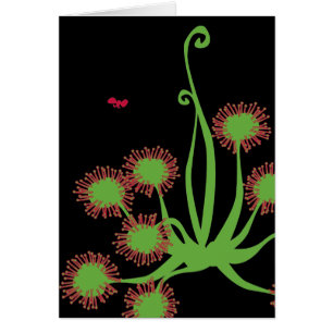 Carnivorous Sundew Plant