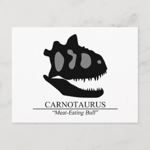 Carnotaurus Skull Postcard