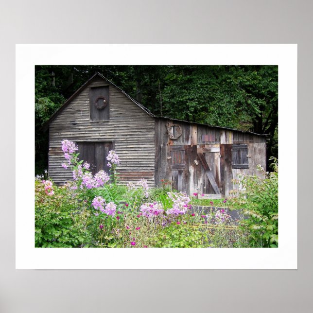 Carolina Cabin Poster (Front)