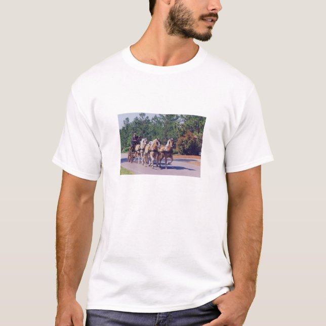 CAROLINA  CARRIAGE  SHIRT (Front)