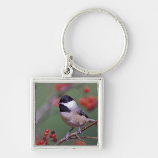 Carolina Chickadee Key Ring (Front)