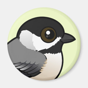 Carolina Chickadee Magnet