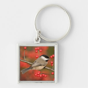 Carolina Chickadee on Common Winterberry bush Key Ring