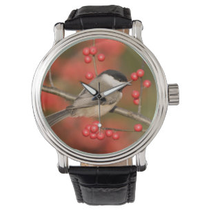 Carolina Chickadee on Common Winterberry bush Watch