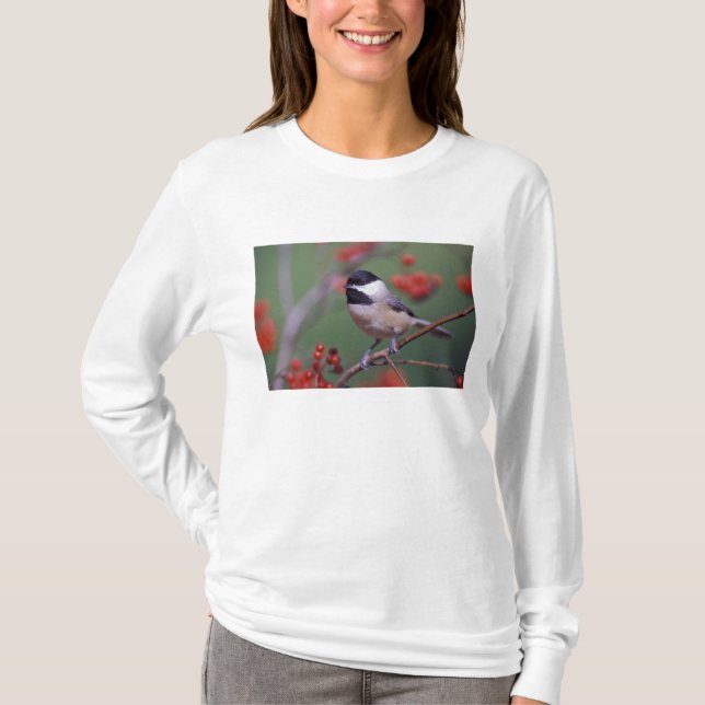 Carolina Chickadee T-Shirt (Front)
