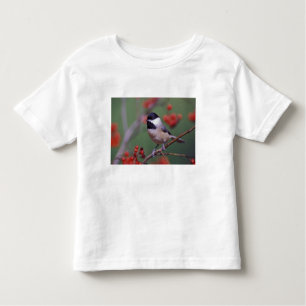 Carolina Chickadee Toddler T-Shirt