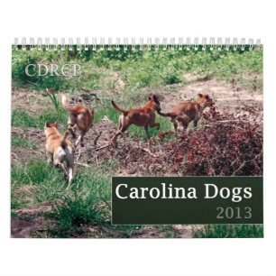 Carolina Dog Calendar 2013