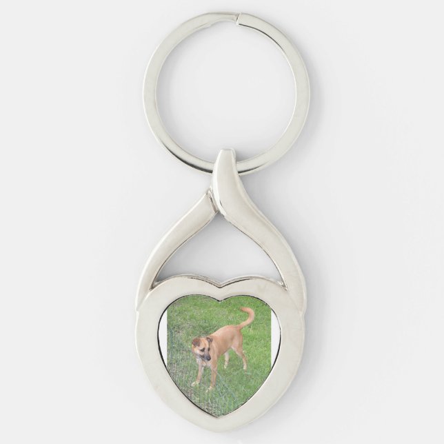 carolina dog full 2 key ring (Front)