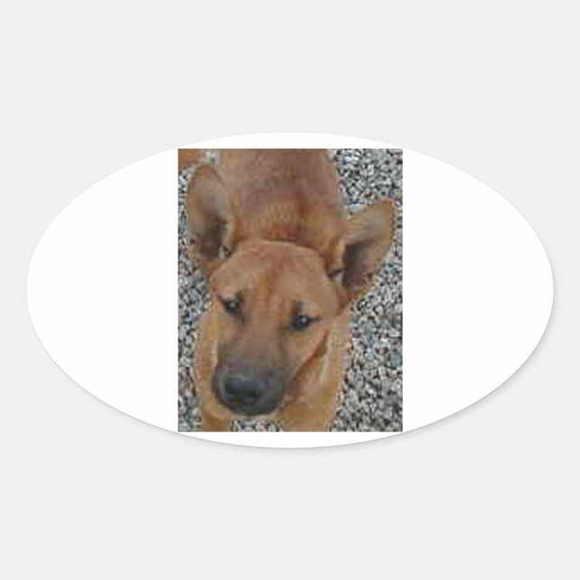 Carolina dog.png oval sticker (Front)