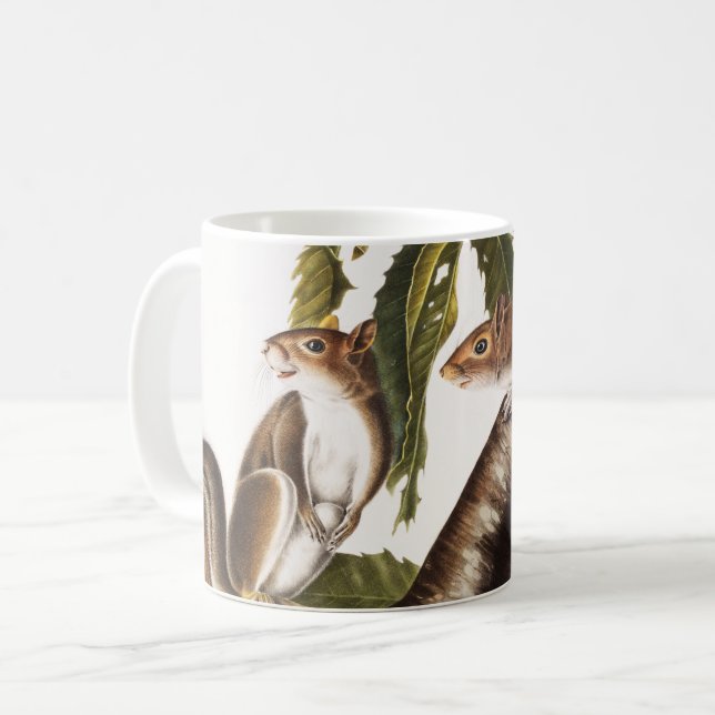 Carolina Grey Squirrel (Sciurus Carolinensis) Coffee Mug (Front Left)