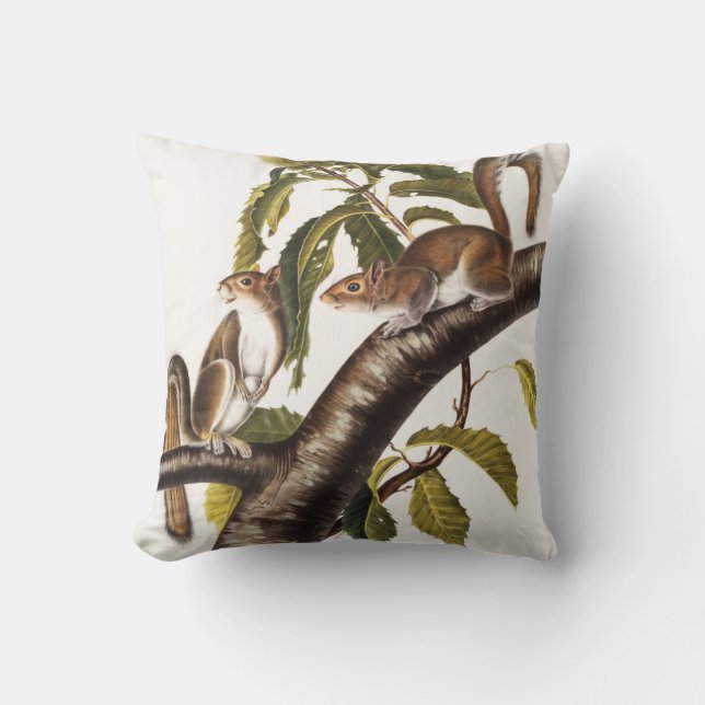 Carolina Grey Squirrel (Sciurus Carolinensis) Cushion (Front)